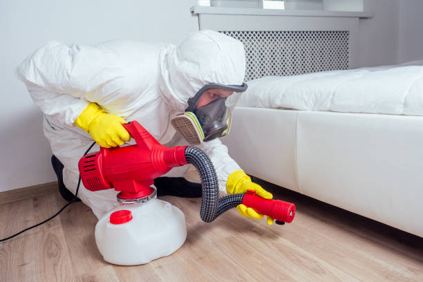 Reliable Yalaha, FL Pest Control Solutions